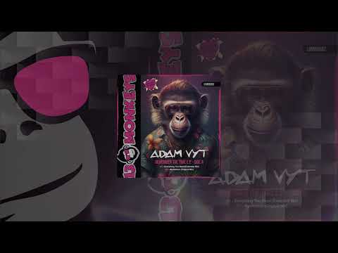 Adam Vyt — Adam Vyt - Mysterious (Original Mix)