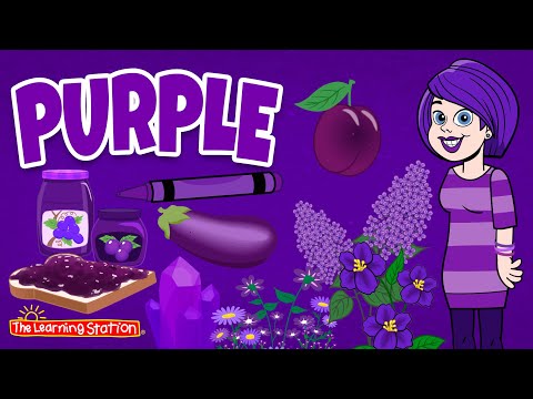 Purple ♫ Color Purple Song ♫ Color Songs ♫ Kids Songs by The Learning Station