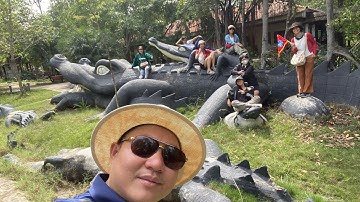 DU LỊCH CẦN GIỜ. Câu Cá Sấu Tại Rừng Vàm Sát Cần Giờ.