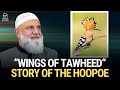 Wings of tawheed story of the hoopoe  ustadh mohamad baajour