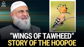 “Wings Of Tawheed“ Story of the HooPoe | Ustadh Mohamad Baajour by EPIC MASJID 13,712 views 1 month ago 22 minutes