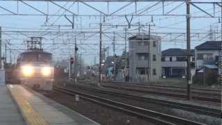 JR貨物 EF66-130 貨物列車(遅れ1090レ EF66 100番台) 清洲駅旅客線 警笛