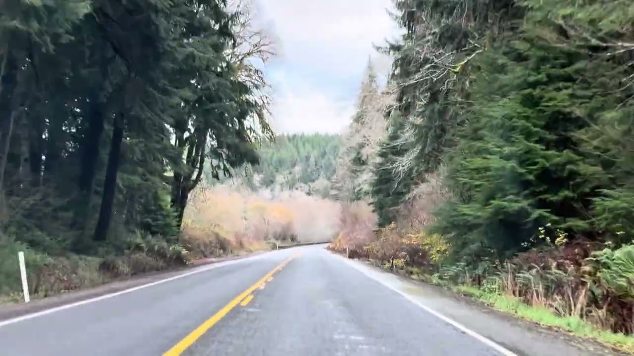 Риалто Бич Драйв, часть 7