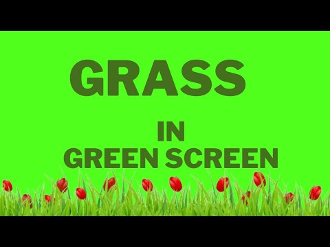 GRASS IN GREEN SCREEN BACKGROUND | COPYRIGHT FREE CONTENT #copyrighfree ...