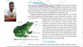 Part 6 Frogs || Structural Organisation in animals class 11 NCERT line by line.