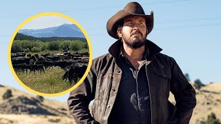 Famous Yellowstone Cast Spill Footage of Season 5 Wealth