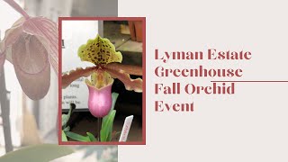 Lyman Estate Greenhouse Orchid Sale October 2019