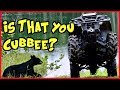 Did You Miss Us? First ATV Ride Of The Year And We Find Cubbee's Cousin!