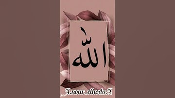 تلاوة خاشعة عبد الله الموسى🌺