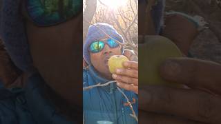 Eating Orgenic Fresh Green Apple 🍏🇳🇵 from Marpha Nepal #greenapple #freshapple #marphaapple