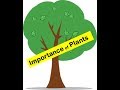 Plant Sources and Their Uses