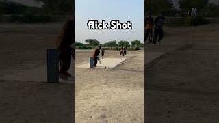 Flick Shot #cricket #shorts