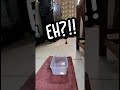 Mail Kabur Gara-gara Gak Dikasih Dua Singgit? 😂 (Part 2 lanjutan "rahasia Mail kabur") #mail #ai