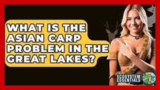 What Is The Asian Carp Problem In The Great Lakes? - Ecosystem Essentials
