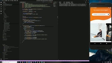 Flutter : Instagram Media Viewer made in one day