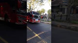 pesona Bus Pariwisata #bus mania
