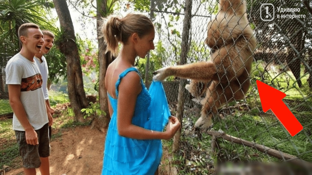 Прочь! Непристойные и Стыдные Видео, Снятые На Камеру