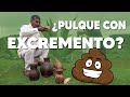 ¿Pulque con excremento? ¿Mito o Realidad?