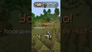 ⚡ Айпи: soulrise.fun ⚡ Тгк: t.me/soulrisefun ⚡ #funtime #soulrise #reallyworld #holyworld #анархия