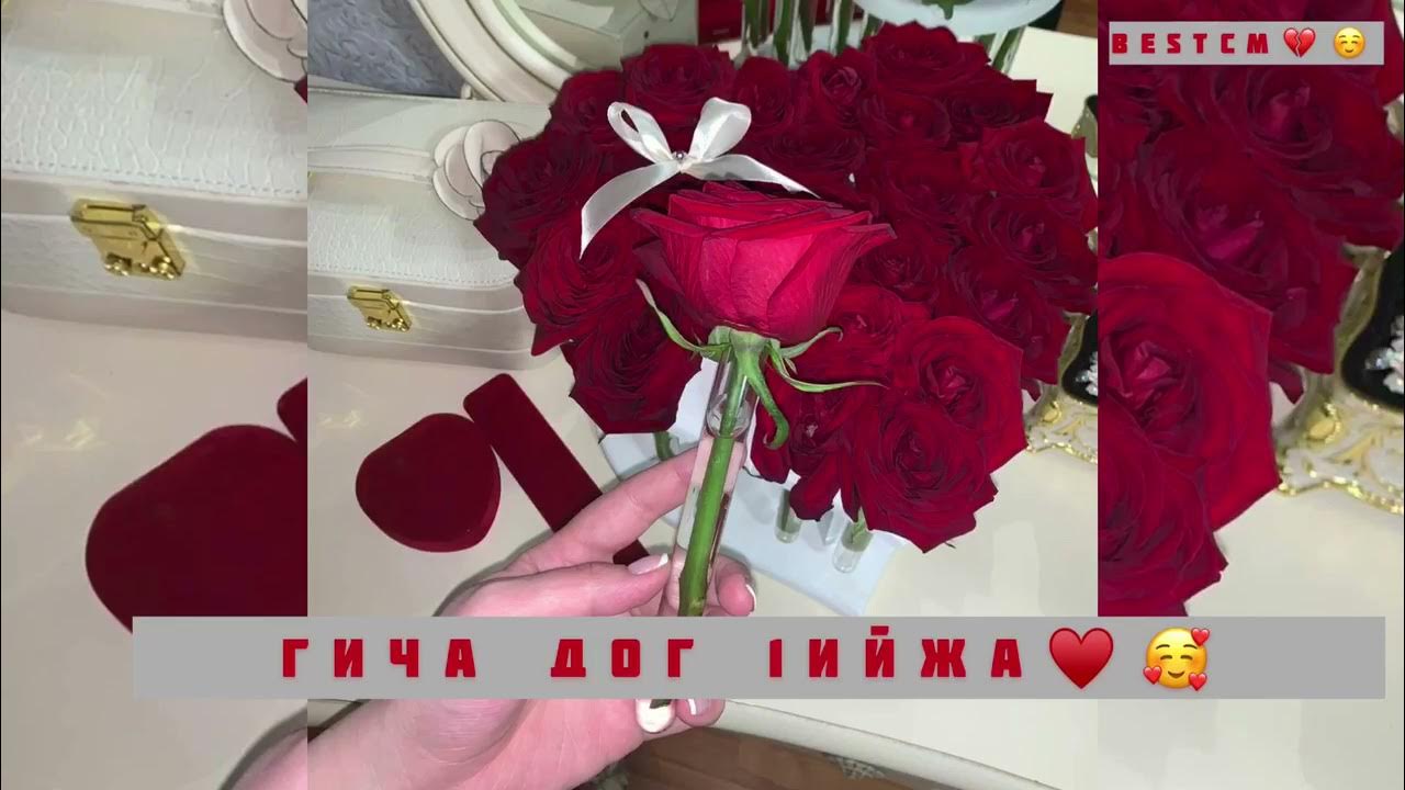 Нохчи безам. Малика кавраева хила. Чеченские песни я тебя люблю. Чеченские песни я тебя люблю. Нохчи забарш.