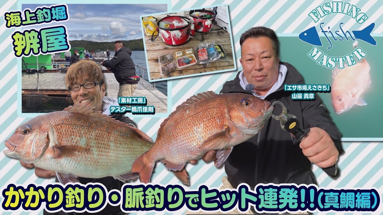 かかり釣り・脈釣りでヒット連発の海上釣り堀!!(マダイ編) - 水谷知恵