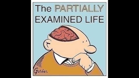Partially Examined Life #218: The Hard Problem of Consciousness (Chalmers et al) (Part One)