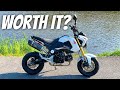 First Ride On A Honda Grom! Should I FINALLY Buy One?!
