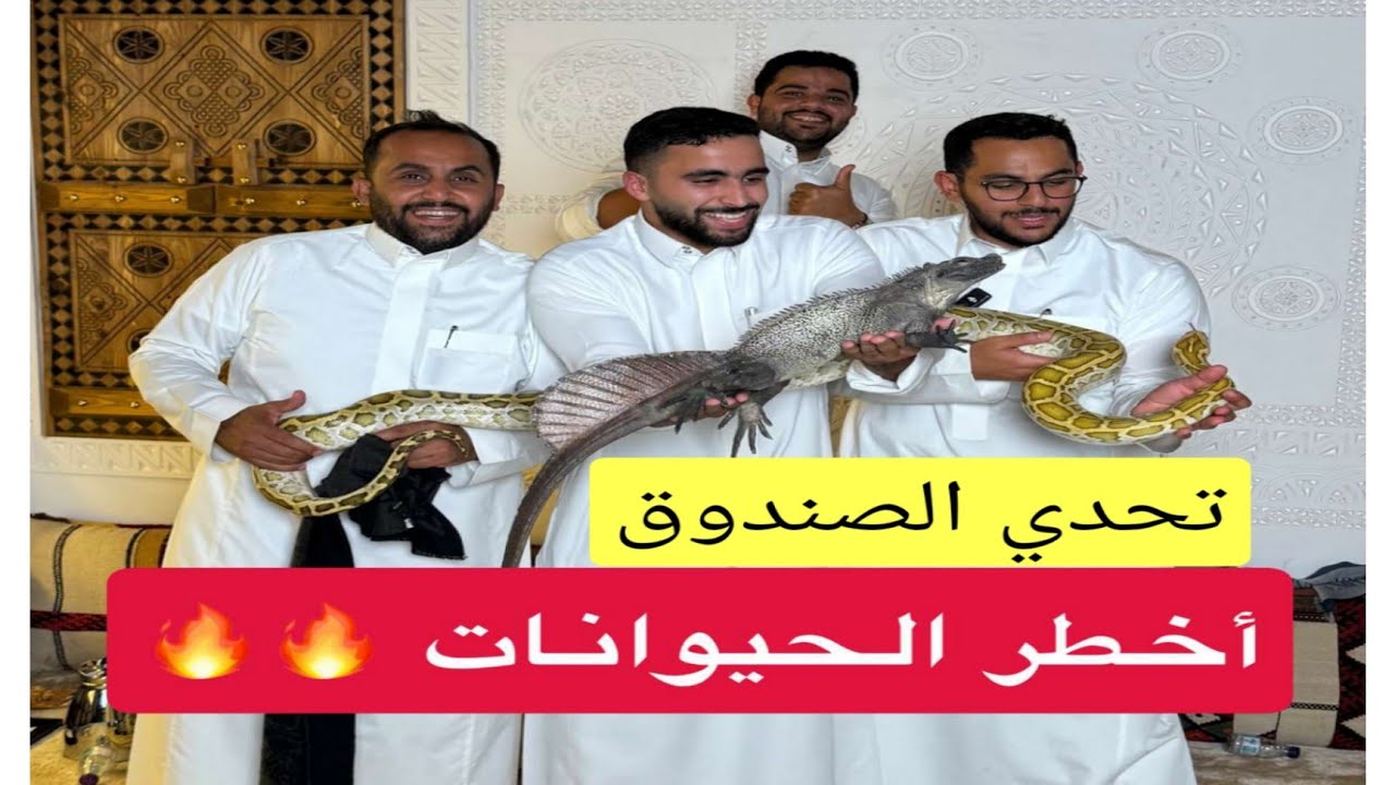 تحدي صندوق الزواحف مع أخواني 😱👀 ما توقعوا وش داخل! | تنين وثعبان وعنكبوت 😭🔥