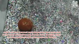 Effects of Improper Waste Disposal