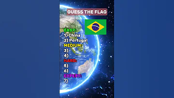 Guess The Flag Quiz Flag Shorts 