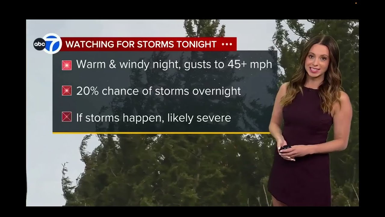 Cheryl Scott __ Possible Storm Predictions❕