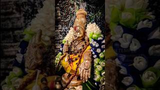 🙏swamiye saranam Ayyappa #shorts #shortsfeed #trending #tamil #viral #ayyappa #song#sabarimala😊