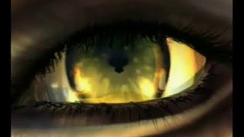 As is the Microcosm so is the Macrocosm