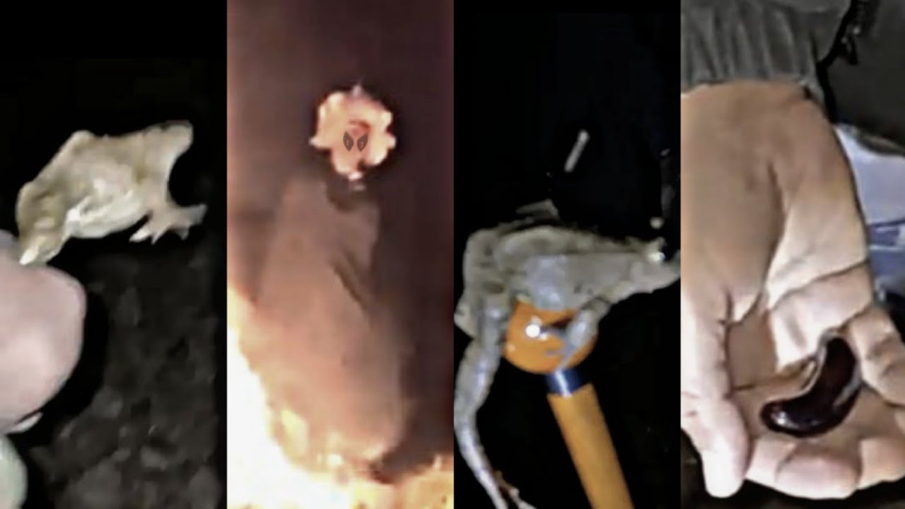 انتقال المغامرين الئ عالم اخر(6)🌙