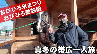 [Hokkaido Trip 7] See the Obihiro Ice Festival, interact with draft horses at Obihiro Zoo, and he...