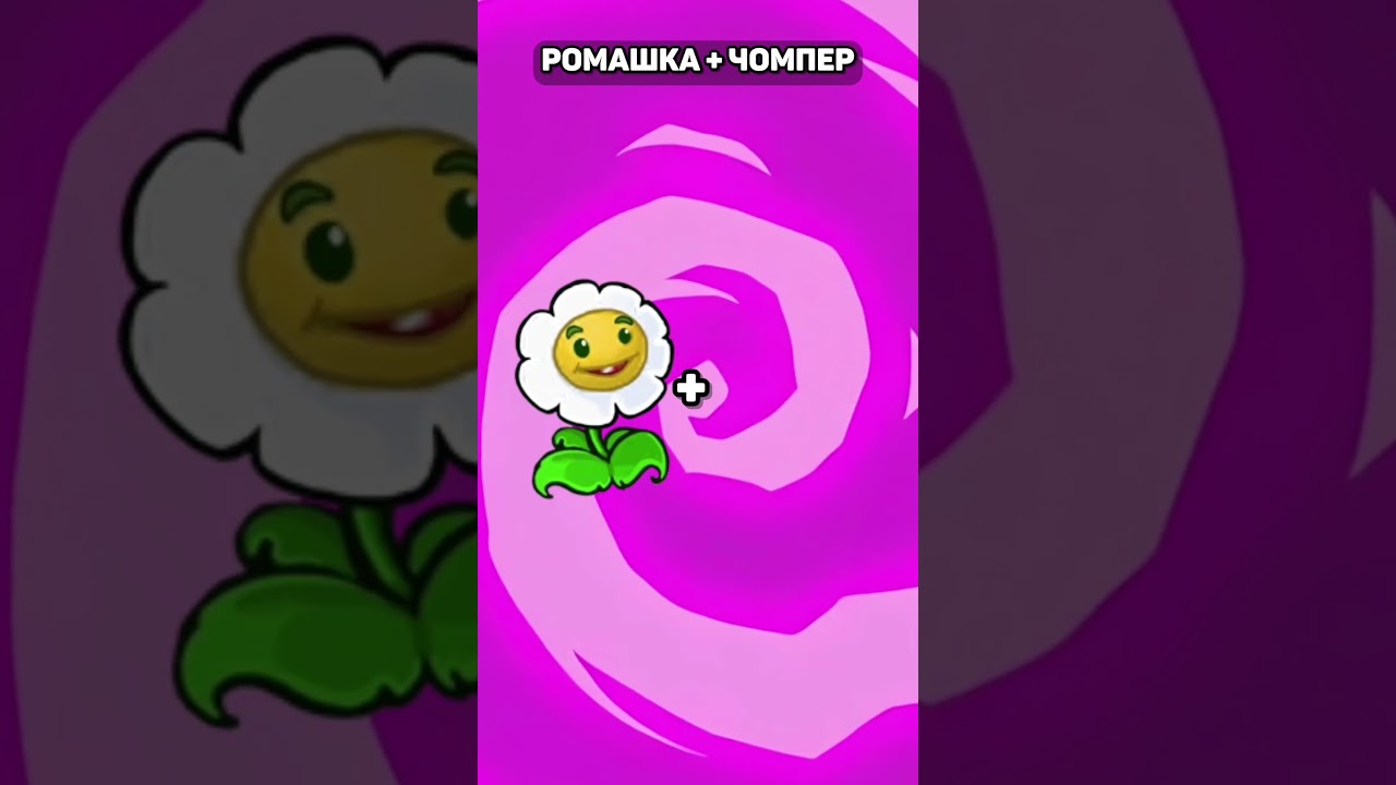 В КОГО ВЛЮБЛЕНЫ 💞 РАСТЕНИЯ ИЗ 