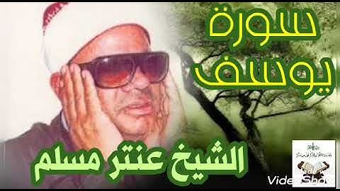 سورة يوسف للقارئ الشيخ عنتر مسلم