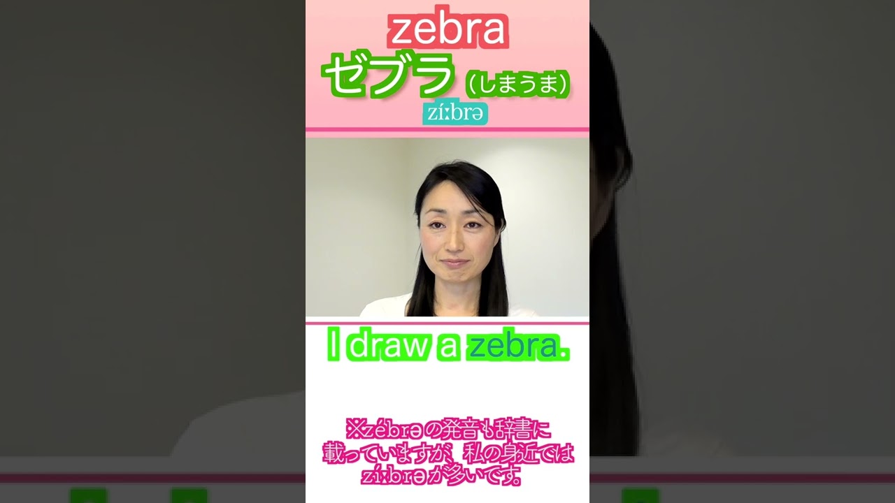 おばさんの英語学習 ーしまうま ゼブラ を英語で言うと ジーブラじゃないよ 英語で動物の名前 Shorts Youtube