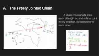 Celebrity Mathematical Models of Polymers and Self Avoiding Walk by Yi Yin Net Worth