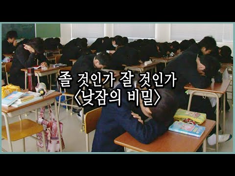 [낮잠의 비밀] 잠에 빚진 사람들, 나는 왜 낮에 졸릴까? (KBS_456회_2013.05.15 방송)