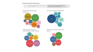 UP Mortality Rate - Data Visualization