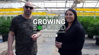 Growing Exposed S2 EP12 - Riverview Farms