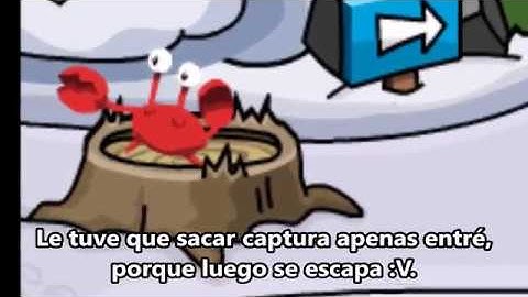 🔍¡6 CURIOSIDADES DEL FOREST2🔎 | Simba SuperCPPS 📘