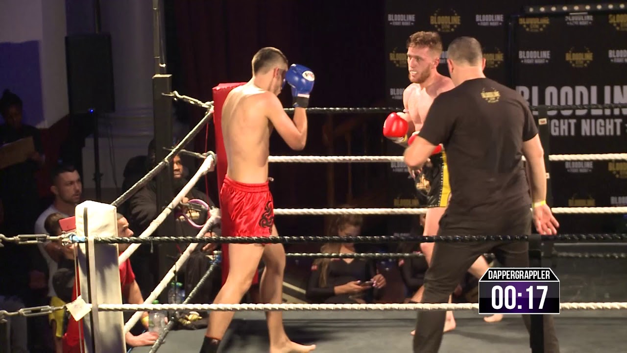 David Green vs Radislav Pavlovici