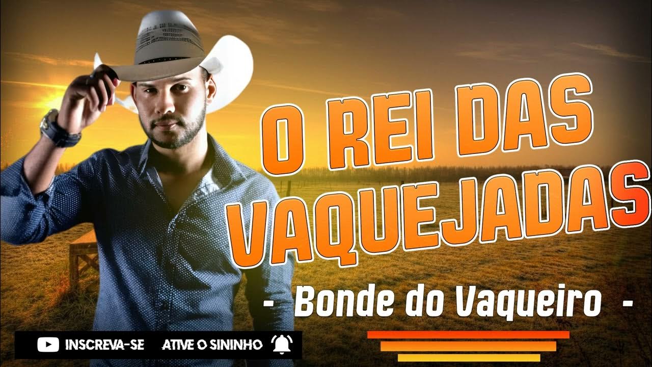 BONDE DO VAQUEIRO VOL.01 CD RELIQUIA AS MELHORES SÓ SUCESSOS YouTube