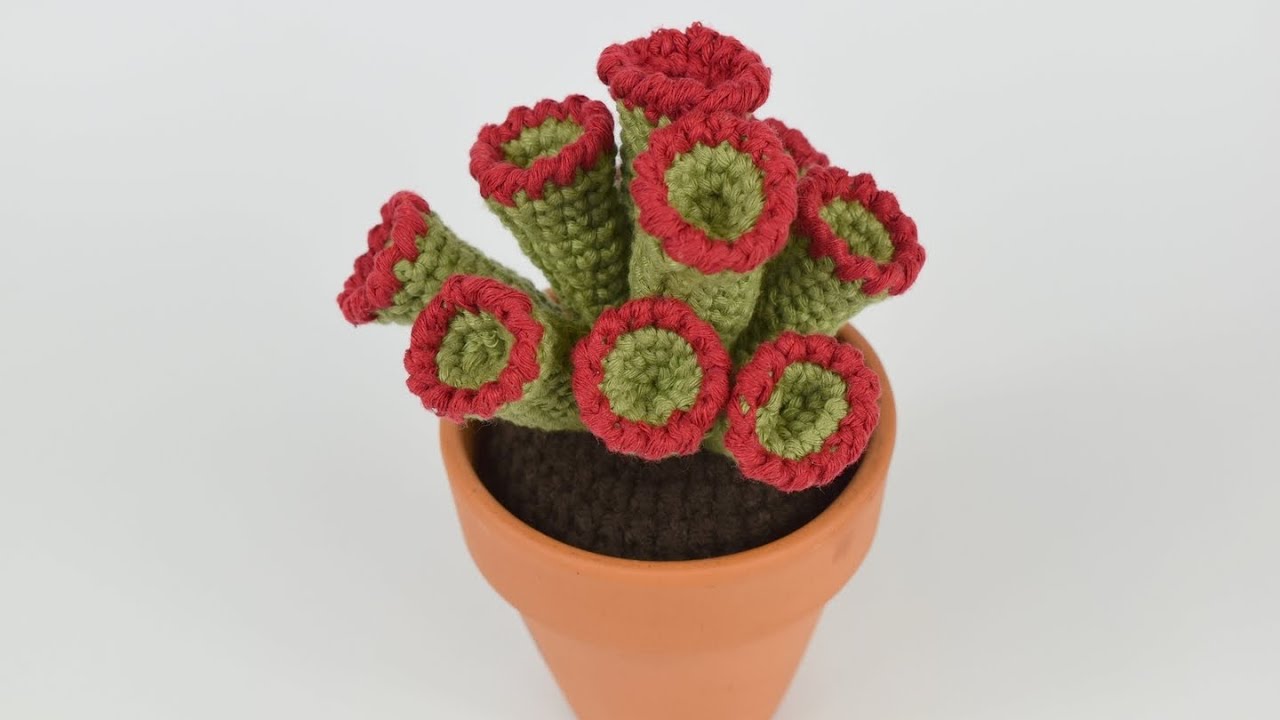 CACTUS DE GANCHILLO EN PUNTO BAJO Y  PUNTO CANGREJO