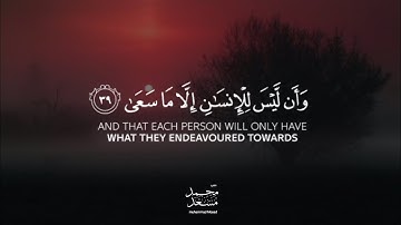 ساعة كاملة⏱️🎧 | تلاوة لمن أراد الهدوء والراحة النفسية للدراسة والتركيز 📚 | القارئ محمد مسعد ♥️