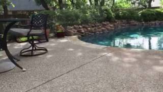 EASTER BUINY CAUGHT ON TAPE