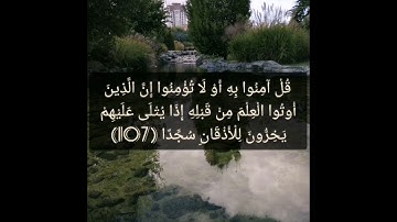 القرآن الكريم نهاية سورة الإسراء وبداية سورة الكهف صفحة 293