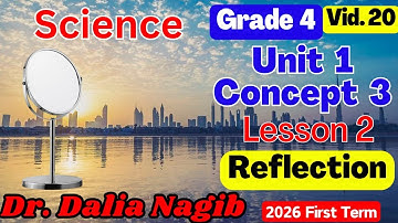 ساينس رابعة ابتدائى ترم اول 𝟐𝟎𝟐𝟔   𝑺𝒄𝒊𝒆𝒏𝒄𝒆 𝗚𝗿𝗮𝗱𝗲 𝟰 𝐂𝐨𝐧𝐜𝐞𝐩𝐭 3  𝐋𝐞𝐬𝐬𝐨𝐧 2
